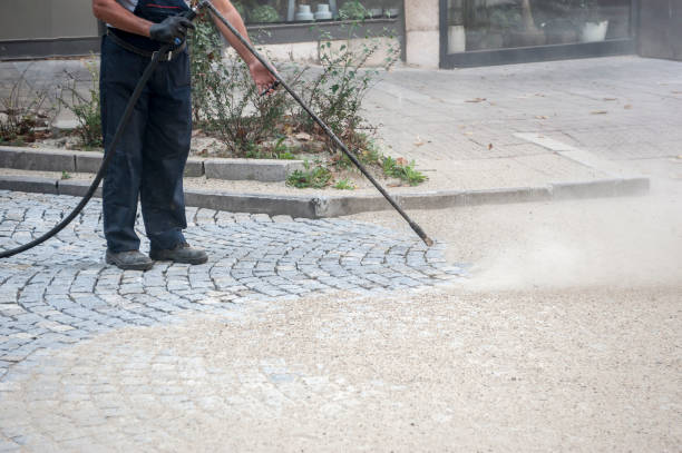 Best Fence Cleaning  in San Rlos, CA